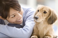 年金イメージ